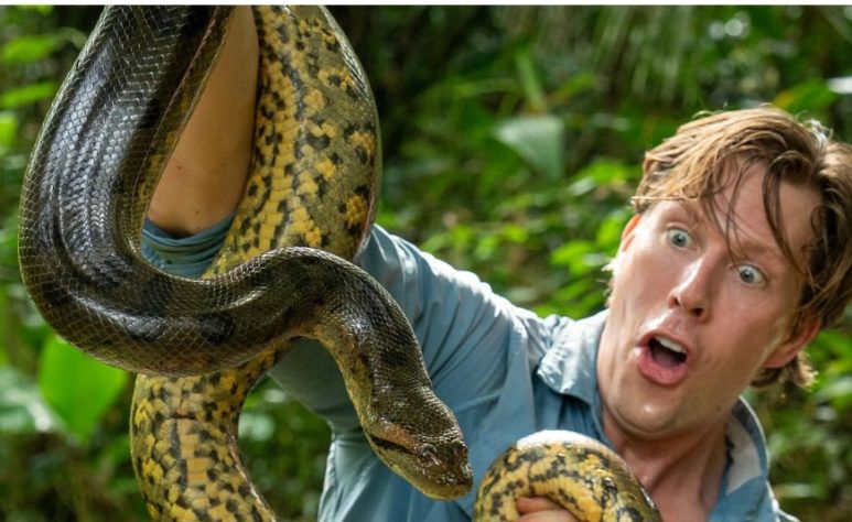 Anaconda