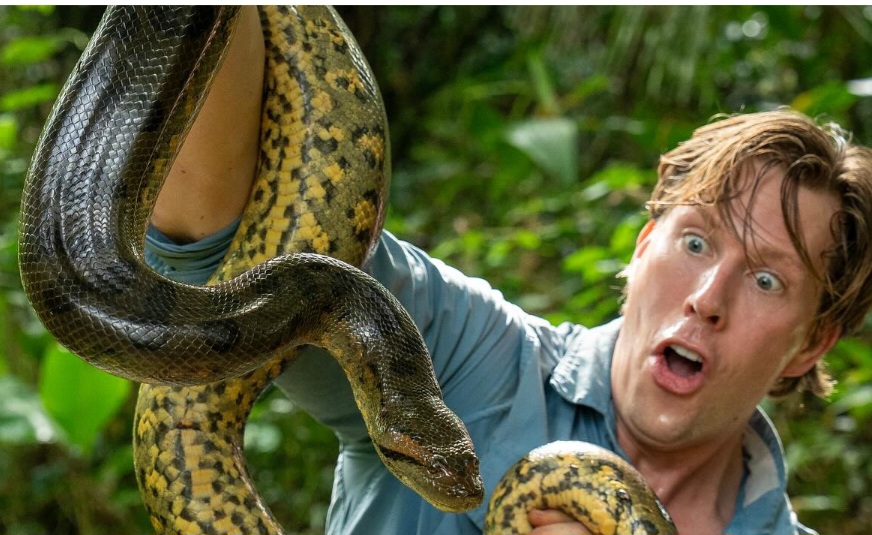 Freek Vonk,  cientista e apresentador de TV, disse que até então apenas uma espécie de sucuri gigante era conhecida na região. Mas agora uma outra foi identificada.