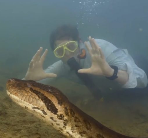 Anaconda