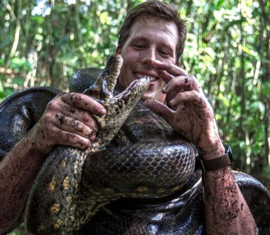 Anaconda