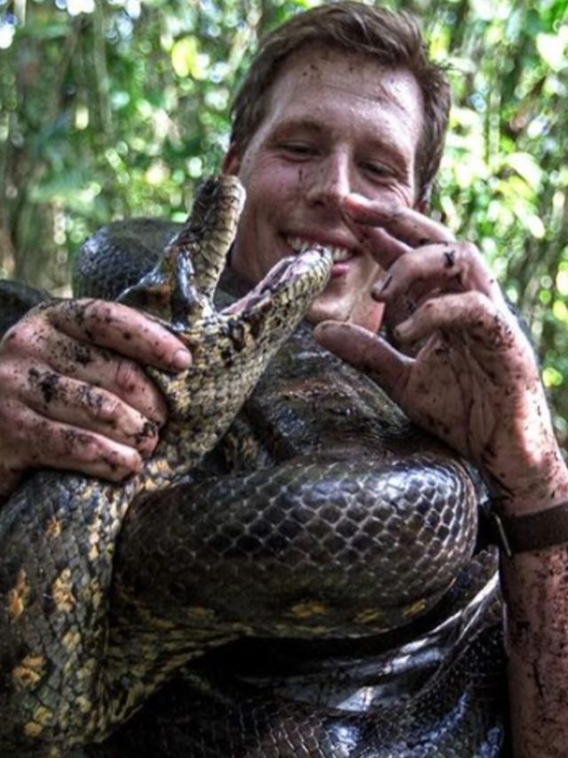 Biólogo contesta descoberta de nova Anaconda na Amazônia