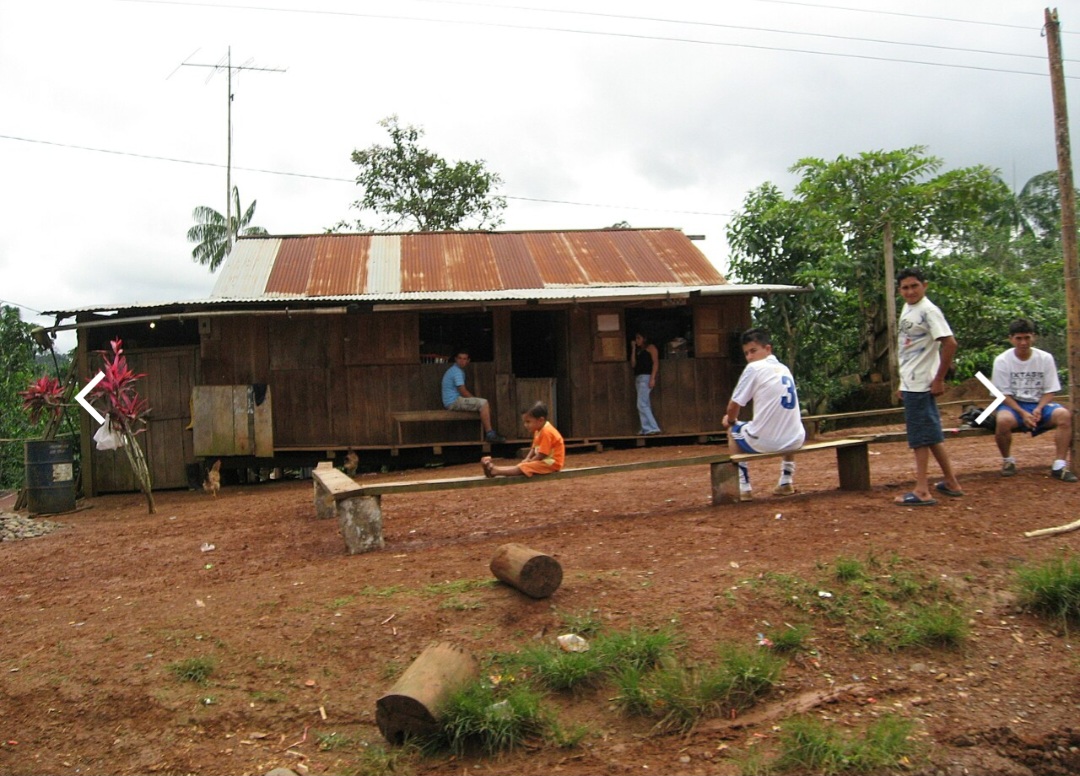 Essa etnia tem cerca de 4.000 integrantes, que  falam a língua Huaorani e que enfrentam a exploração de terras para extração de petróleo e madeira.