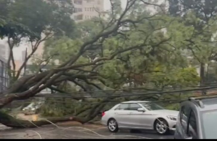 Poste com cabos elétricos cai sobre carro
