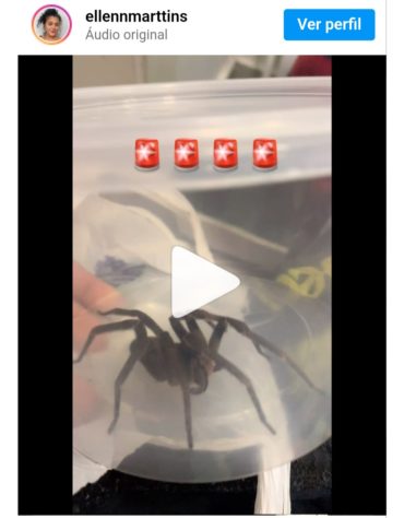 Aranhas