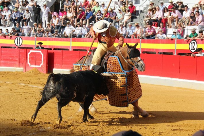 Tauromaquia - Touradas