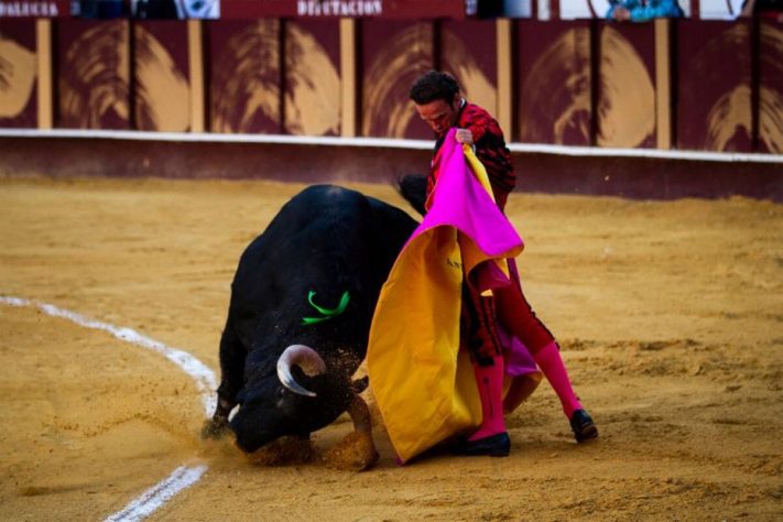 Tauromaquia - Touradas