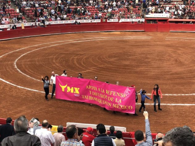 Tauromaquia - Touradas