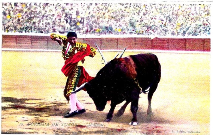 Tauromaquia - Touradas