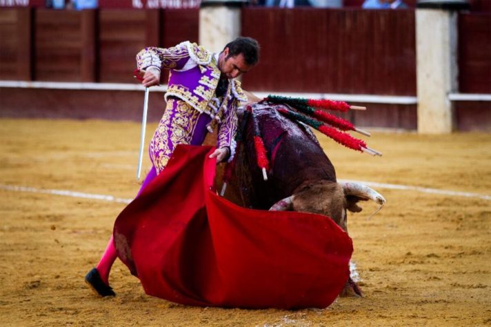 Tauromaquia - Touradas