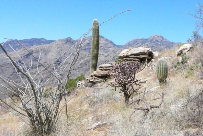 Tucson, Arizona