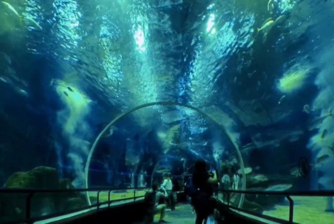 Espetáculo dos mares: Os maiores aquários do mundo