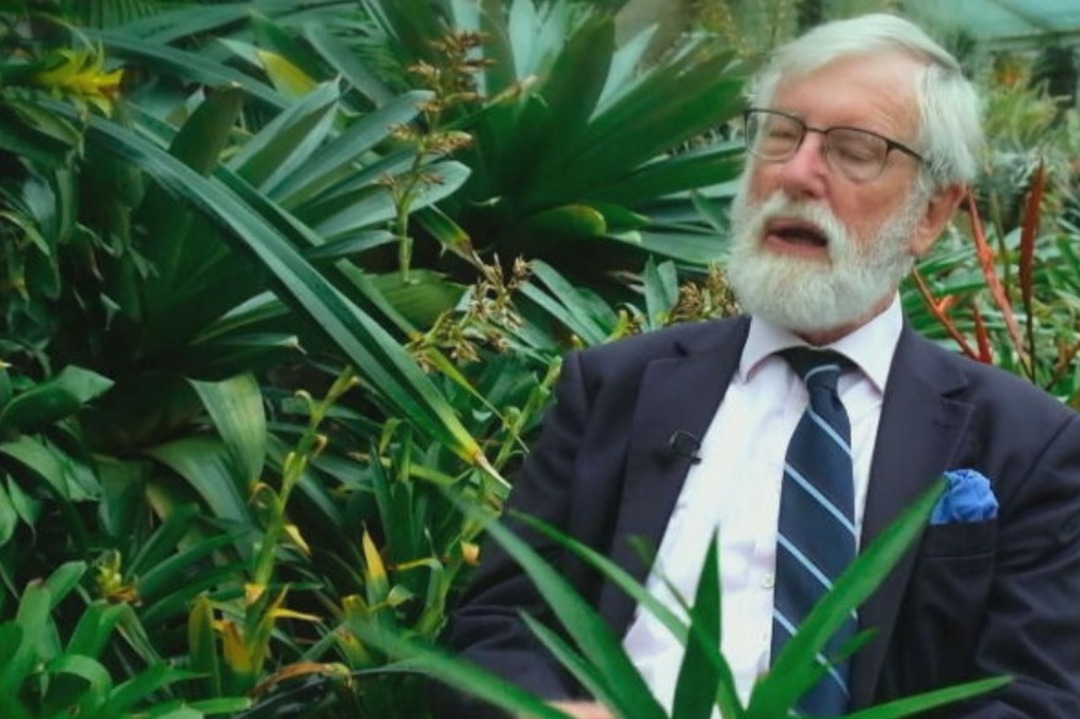 Outros que plantaram jequitibás no Jardim são o cantor americano Jack Johnson, em 2011;  e o botânico inglês, Ghillean Prance (foto), em 2013.