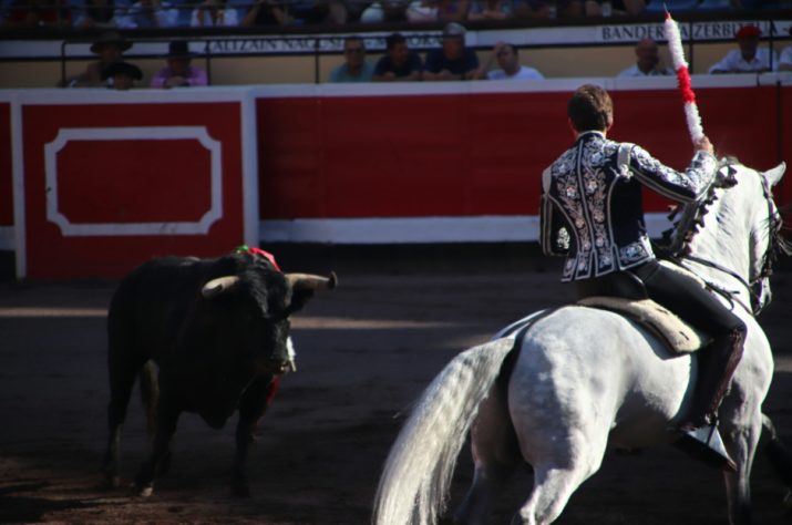 Tauromaquia - Touradas