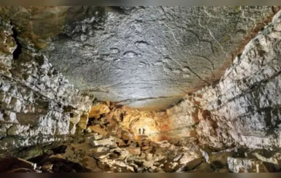 Pesquisadores encontram pegadas de dinossauros em caverna na França - Divulgação Universidade de Borgonha 