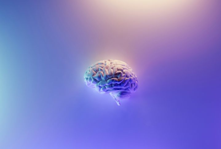 Neurocientistas revelam 