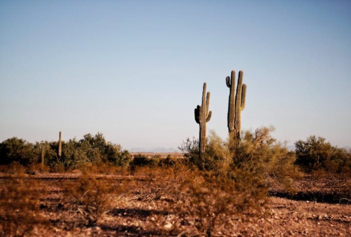 Tucson, Arizona