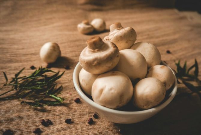 Cogumelos: mercado wellness, mushroom coffee e mais