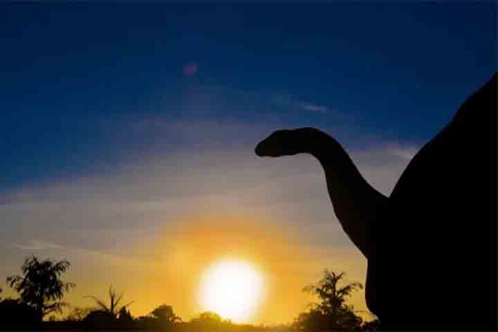 Fato número 1: Relação com os dinossauros - As primeiras espécies semelhantes a crocodilos apareceram no nosso planeta há cerca de 240 milhões de anos, período que podemos dizer que era próximo da dos dinossauros. 