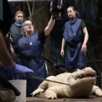 Raios X confirmaram que os objetos foram removidos com sucesso - Jacaré Branco - Divulgação Zoológico e Aquário Henry Doorly