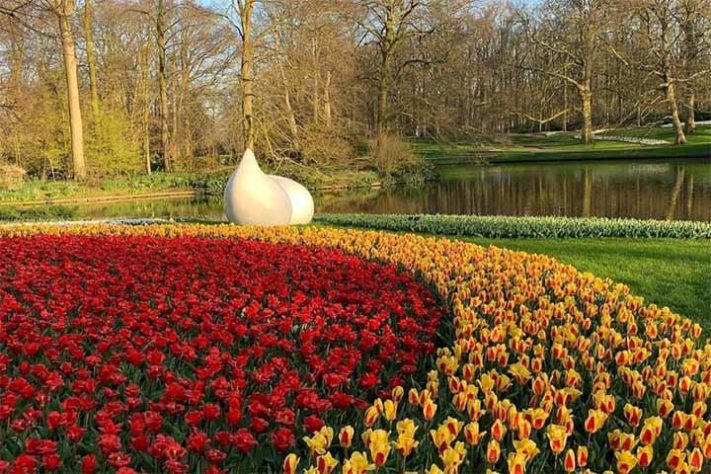 Parque Keukenhof; Holanda - Tulipas