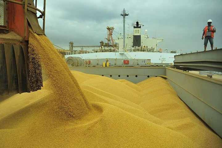 Soja - Brasil celeiro do mundo - Divulgação Governo Federal