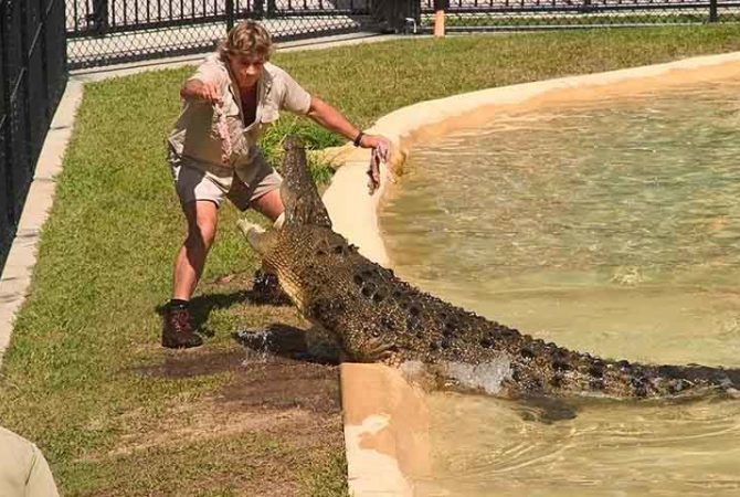 Pra quem não viu: Ele caçava crocodilos, mas foi morto por outro animal