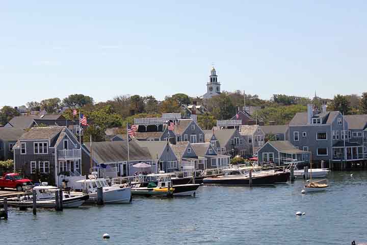 “Meu cérebro estava tentando processar o que eu estava vendo, porque esse animal era algo que realmente não deveria existir nessas águas”, disse Kate Laemmle, que estava no voo. 