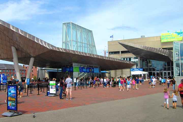 “Este avistamento destaca a importância de cada pesquisa. Embora esperemos ver baleias jubarte, francas e baleias-comuns, o oceano é um ecossistema dinâmico e você nunca sabe o que encontrará”, diz Orla O’Brien, pesquisadora do Anderson Cabot Center for Ocean Life no New England Aquarium. 