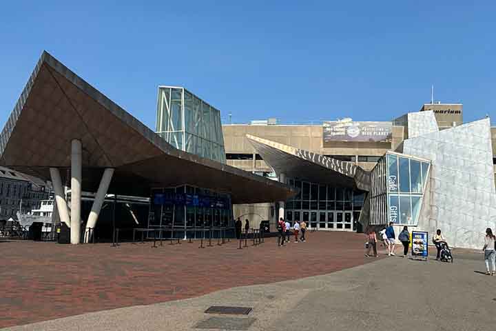 “Estes avistamentos de baleias-cinzentas no Atlântico servem como um lembrete da rapidez com que as espécies marinhas respondem às alterações climáticas, se tiverem oportunidade”, acrescentou.