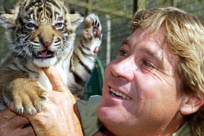 Steve Irwin morto por arraia 