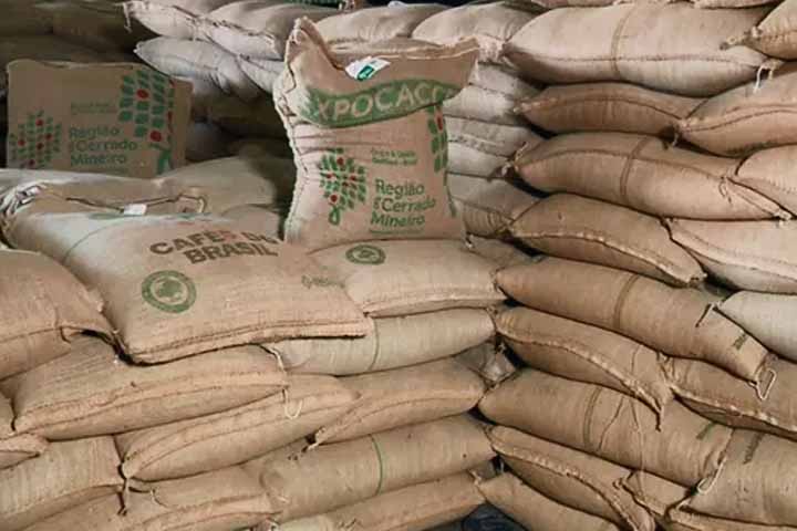 Atualmente, o Brasil é o maior produtor e exportador mundial de café. A estimativa para a safra de 2025 aponta para cerca de 56,5 milhões de sacas de 60 kg produzidas.
