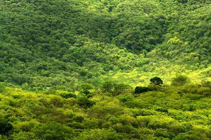 Geoparque de Araripe 