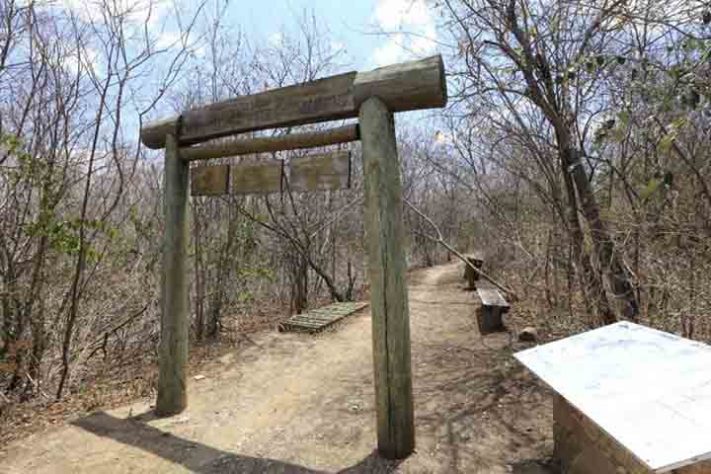 Geoparque de Araripe 