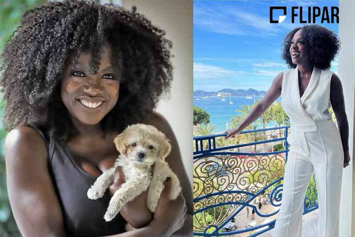 Graduada na Juilliard School em 1993, Davis comeÃ§ou sua carreira atuando em peÃ§as de teatro e em papÃ©is coadjuvantes no cinema. Ã? considerada uma das maiores e mais versÃ¡teis atrizes das artes cÃªnicas. -Instagram @violadavis