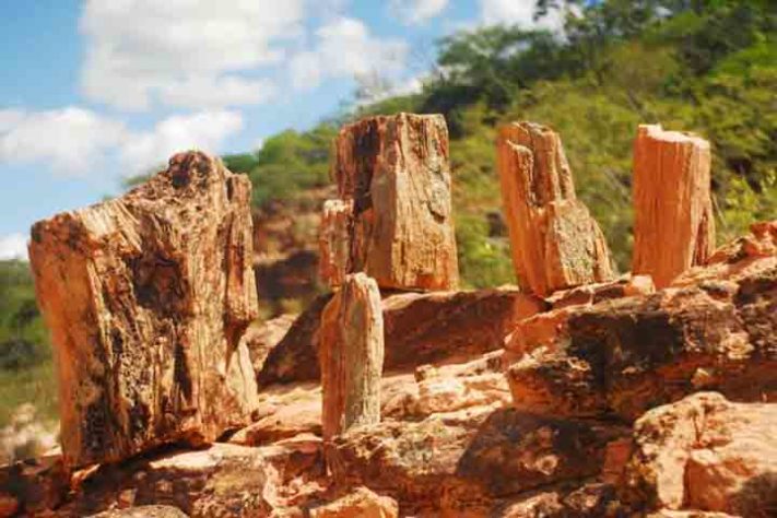 Geoparque de Araripe 