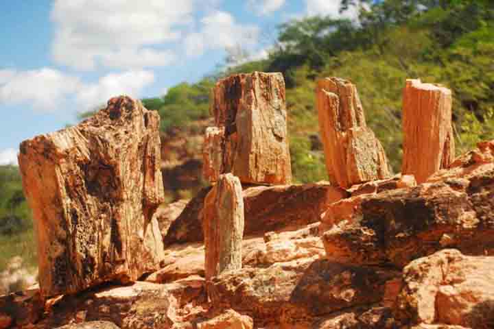 Desde setembro de 2006, está integrado à Rede Mundial de Parques Geológicos, e é reconhecido pela UNESCO como um relevante patrimônio geológico e paleontológico mundial. 