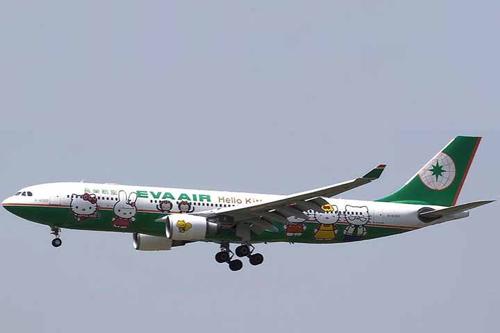 A Sanrio já promoveu a Hello Kitty até em avião comercial, um Airbus A330-200 a jato, denominado "Hello Kitty Jet".