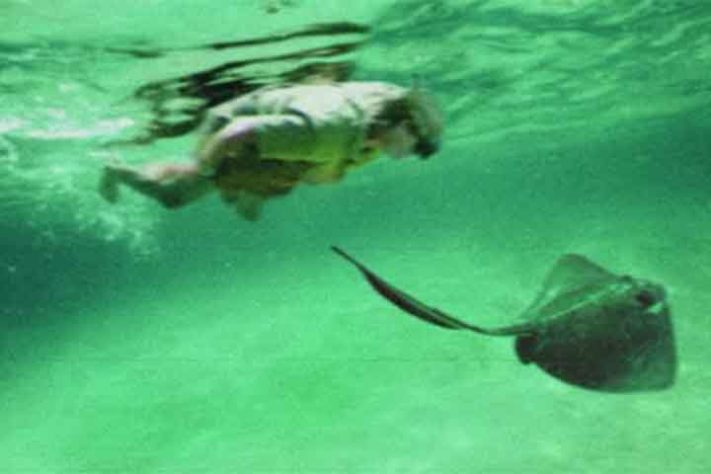 Steve Irwin morto por arraia 