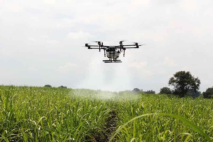 Área de conectividade no agro cresceu, mas ainda é pequena, diz pesquisa