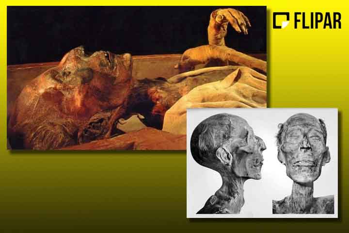 A cidade de Ashmunein, apelidada de "Cidade dos Oito", recebeu uma expedição alemã entre 1929 e 1939. Os arqueólogos realizaram importantes descobertas para além da parte da estátua de Ramsés II, desenterrando parte do templo de Thoth – deus egípcio venerado pelos habitantes da cidade.