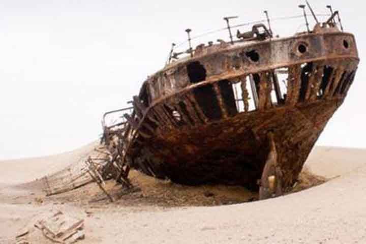 A costa também é lar de uma grande população de focas do cabo, que se reúnem em grandes colônias nas praias de areia. Essas colônias são uma visão impressionante e também atraem predadores como leões-marinhos e tubarões brancos.-Reprodução/Eyes onf Africa