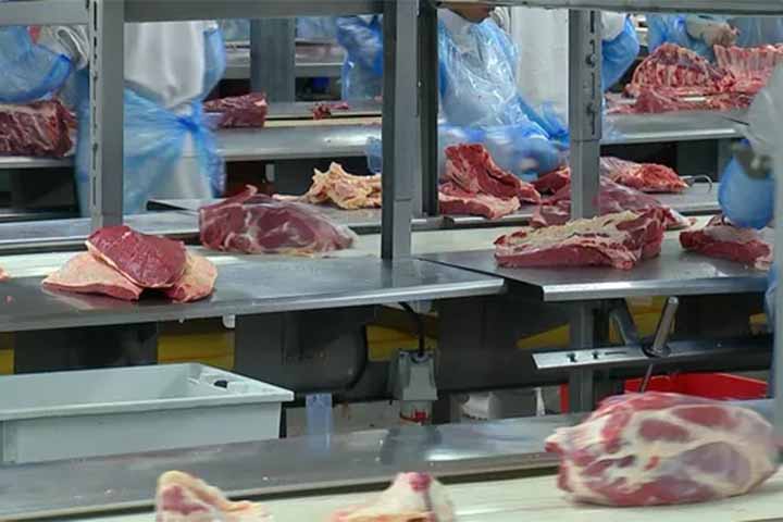 Brasil registra recorde de exportação de carne bovina em 2024
