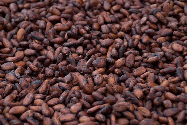 Por aqui também existem fábricas de processamento que transformam os grãos em produtos como pasta de cacau, manteiga de cacau e chocolate.