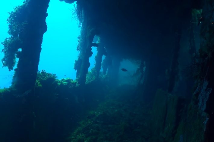 Fujikawa Maru