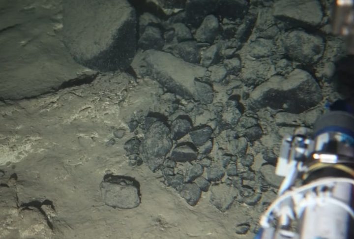 "Nosso trabalho não é advogar a favor da mineração submarina, mas estudar a região e entender o que temos lá embaixo do ponto de vista mineral, animal e vegetal", acrescentou.