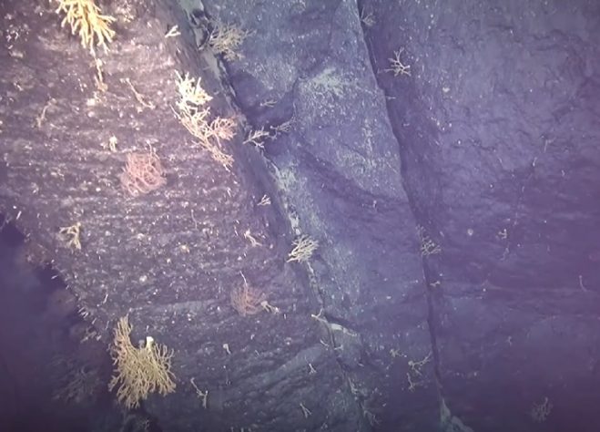 Pesquisadores brasileiros encontram ilha submersa do tamanho da Islândia na costa brasileira