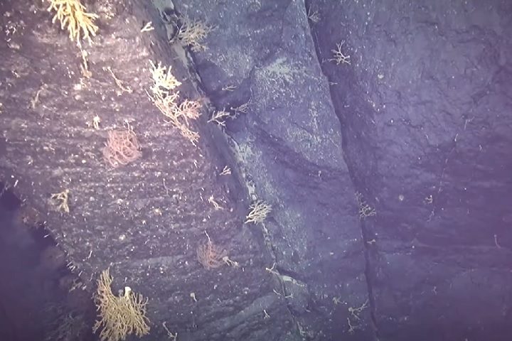 Pesquisas com veículos submarinos revelaram picos com mais de 4 mil metros de altura na ilha submersa.