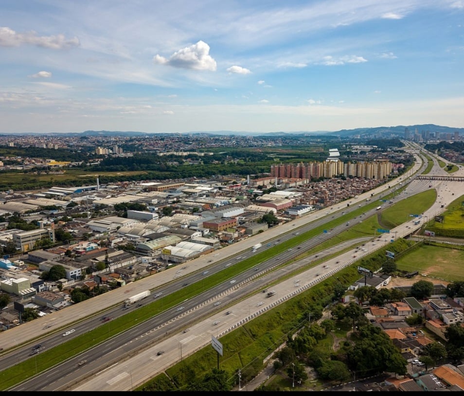 Um trabalho que envolve policiais, veteriários e agentes de trânsito tem ajudado no salvamento de animais silvestres no sudoeste do estado de São Paulo. -  (crédito: Webysther Nunes wikimedia commons )