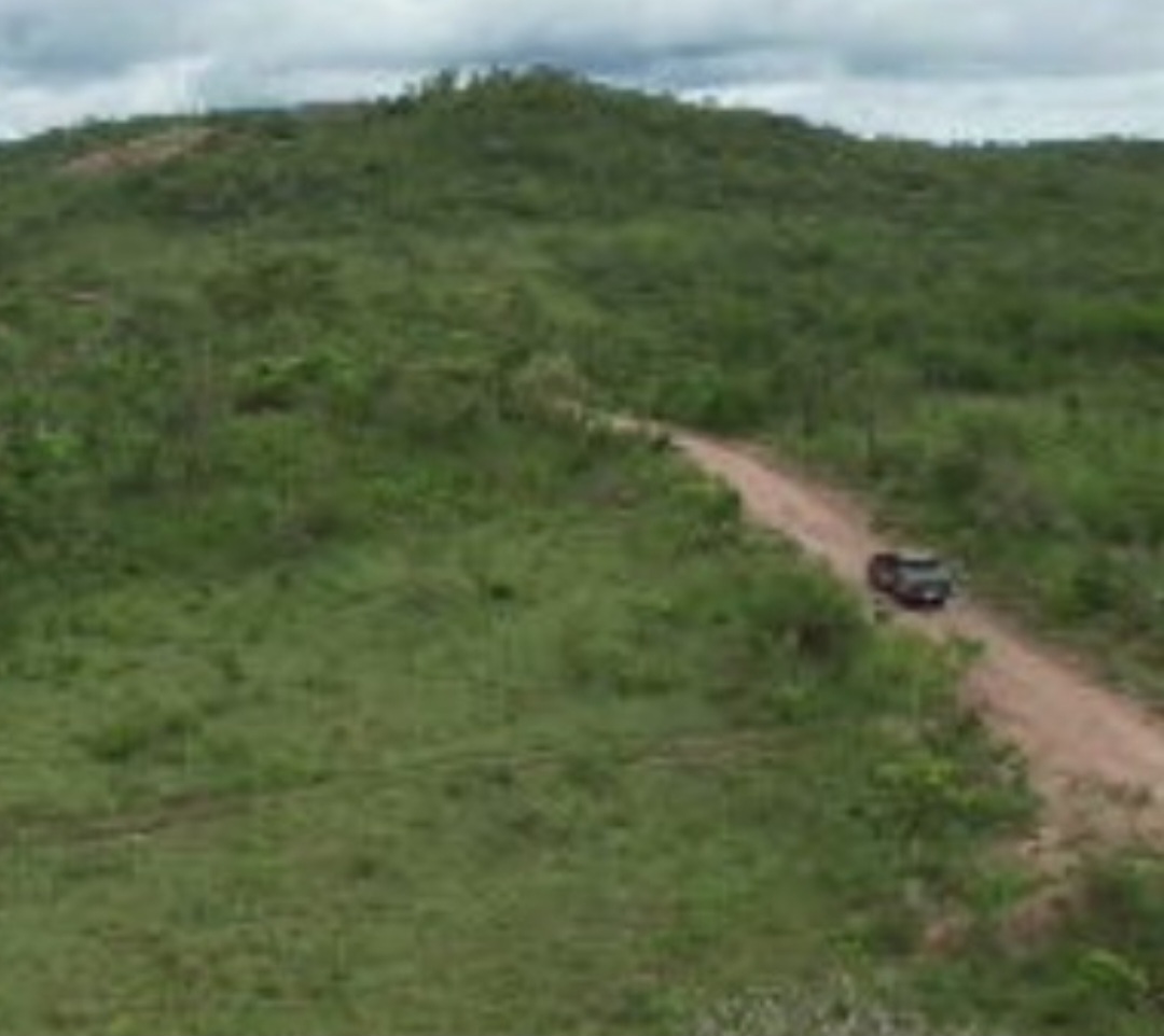 Projetos de recuperação de nascentes, agricultura sustentável e restauração ecológica são vistos como fundamentais para proteger o solo, garantir água e fortalecer comunidades que vivem da terra.