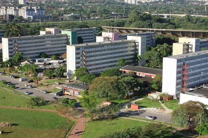 <p>Um estudo da USP já ratificou seu potencial, demonstrando a eliminação de cálculos em pacientes que utilizaram a erva por 12 semanas.</p>
